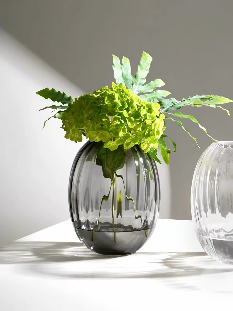 Livvi Ribbed Glass Vase Set (2-Piece) - Image 5